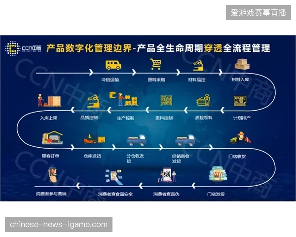 赛事服务市场将以全周期数字化管理作为评估运营能力的唯一准绳